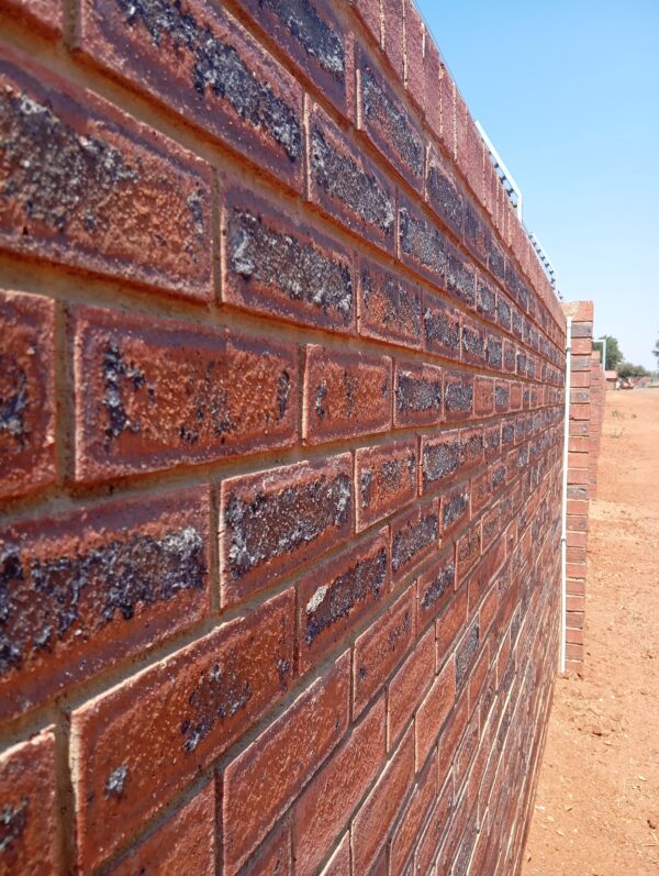 Rusty Satin Dark FBA Face Brick - Image 4