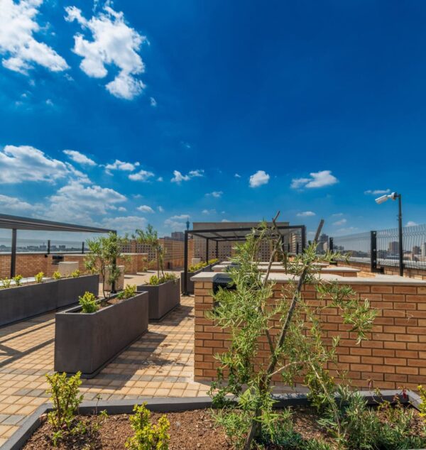 Golden Wheat Travertine FBX Face Brick - Image 7
