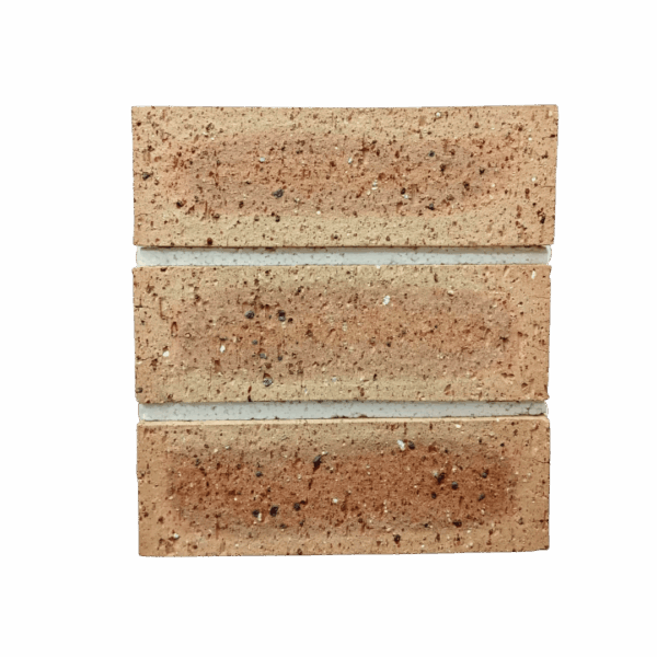 Autumn Wheat Travertine FBS Face Brick - Image 2