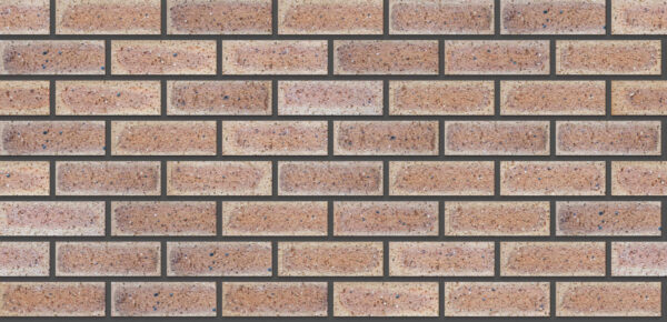 Autumn Wheat Travertine FBS Face Brick - Image 4