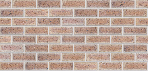 Autumn Wheat Travertine FBS Face Brick - Image 3