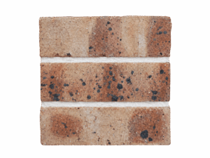 Honeyglow Travertine FBA Semi-Face Bricks